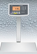 Sartorius combics scale